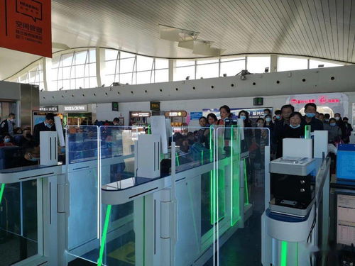 烏魯木齊機場高科技設備提升服務，信息技術咨詢服務助力智慧出行