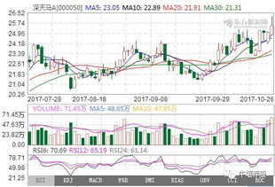 掘金數字未來 信息技術咨詢服務板塊的明日熱門金股解析